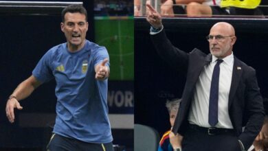 Spain Argentina Coaches World Cup Final